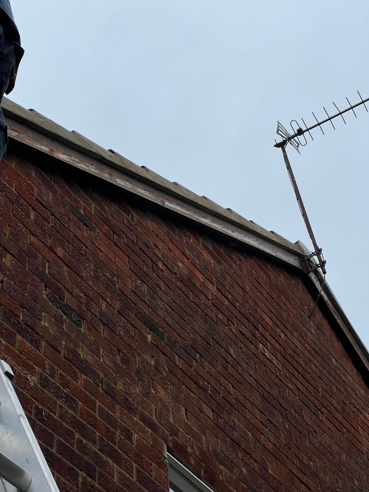 Fascia board replacement